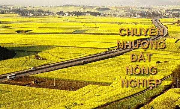 dat-phi-nong-nghiep-1