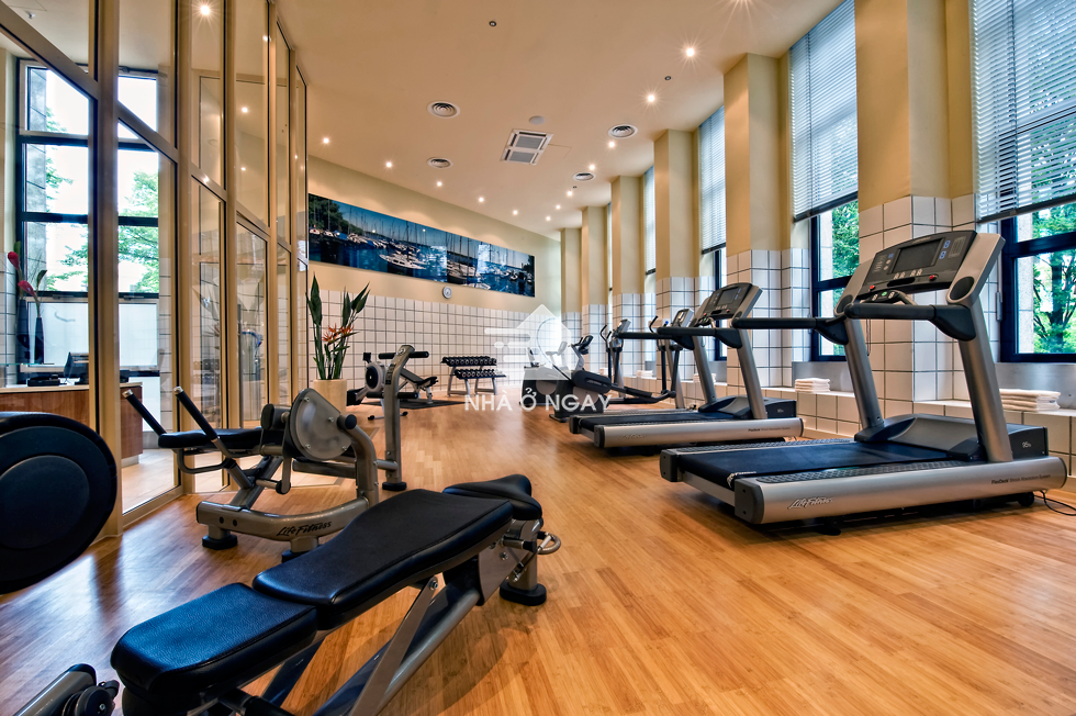 phong-tap-gym-la-gi1.png