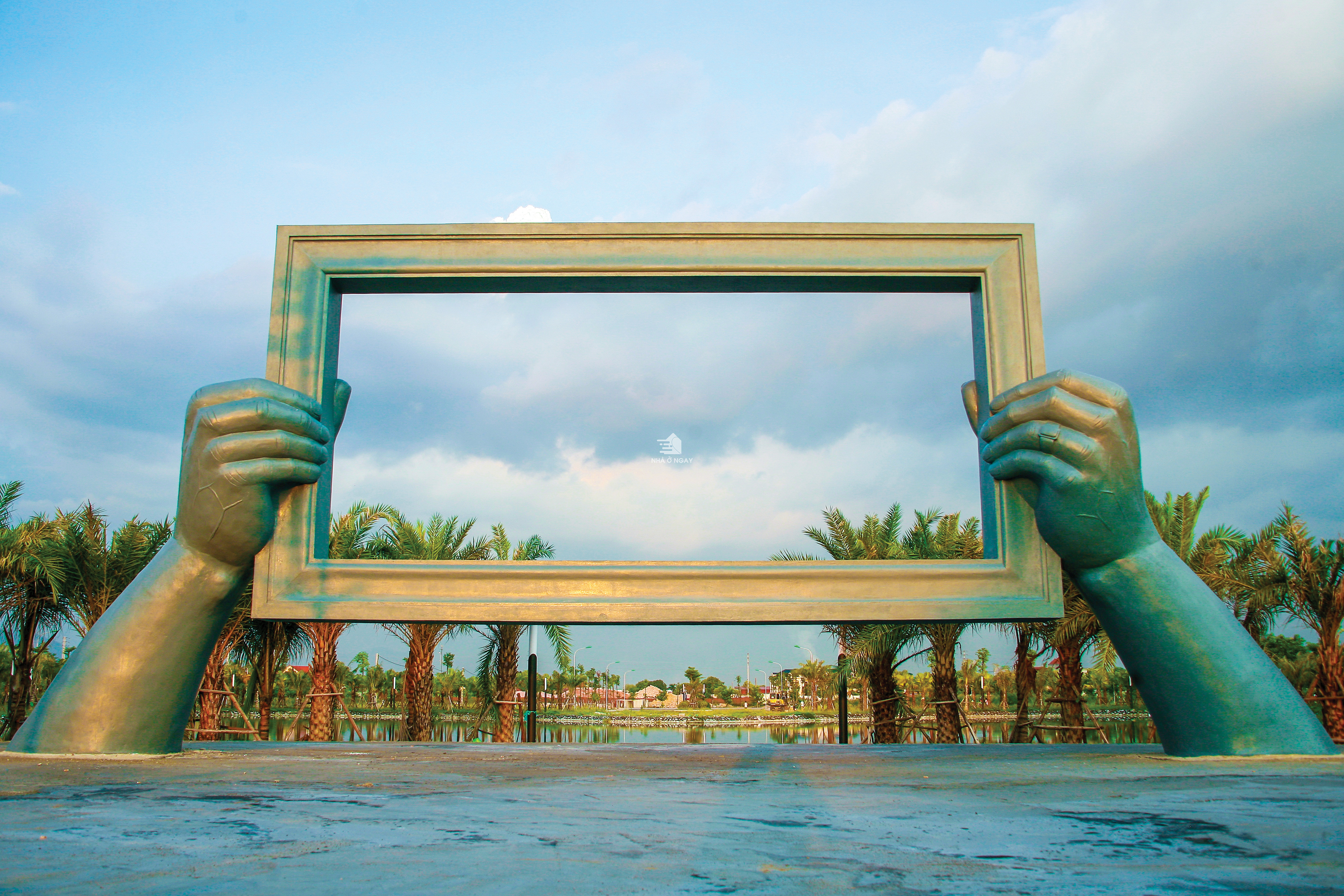 palm-06.jpg