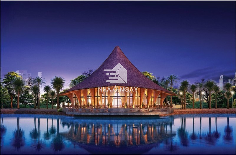 palm-21.jpg