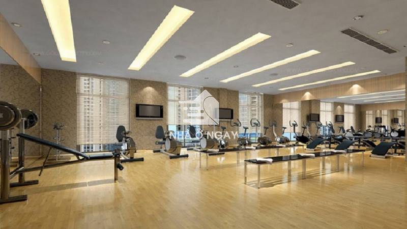 phong-tap-gym-chung-cu-goldsilk-complex.jpg