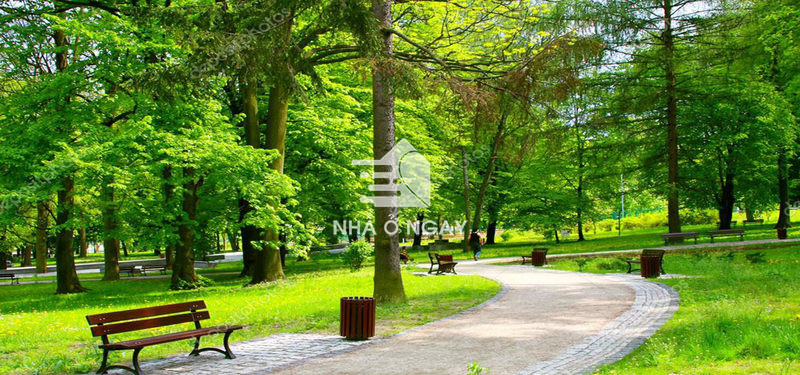 green-park-kim-dinh-2-e1611129123212.jpg