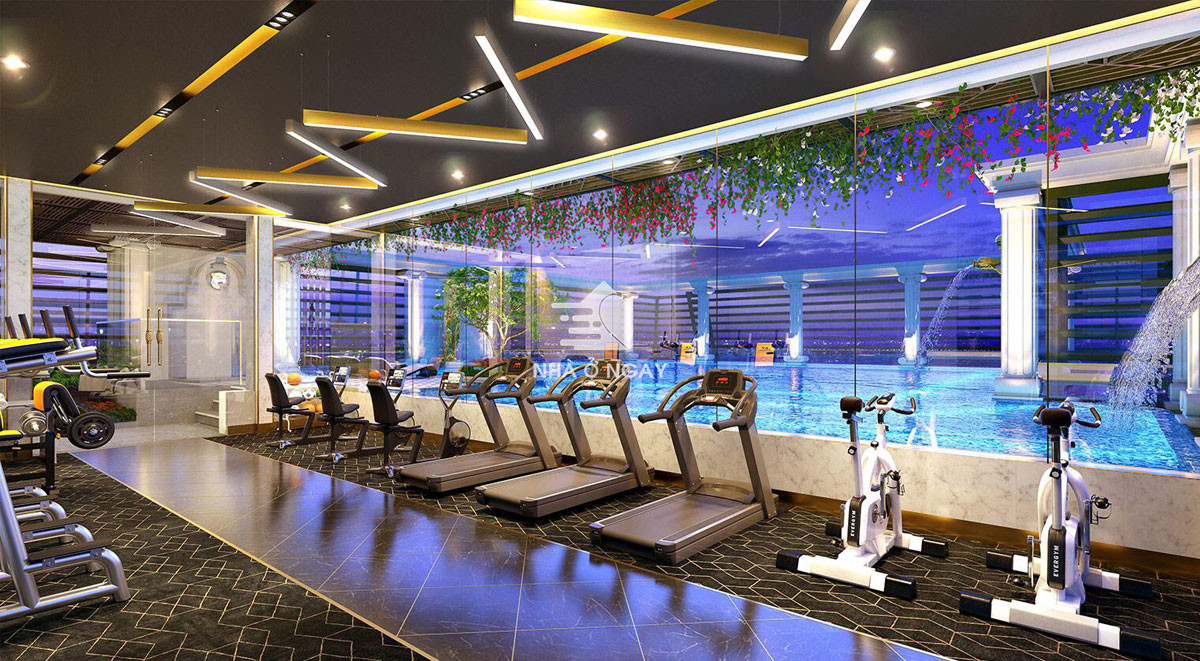 phong-gym-du-an-st-moritz.jpg