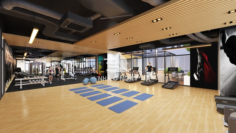 hdm-gym.jpg