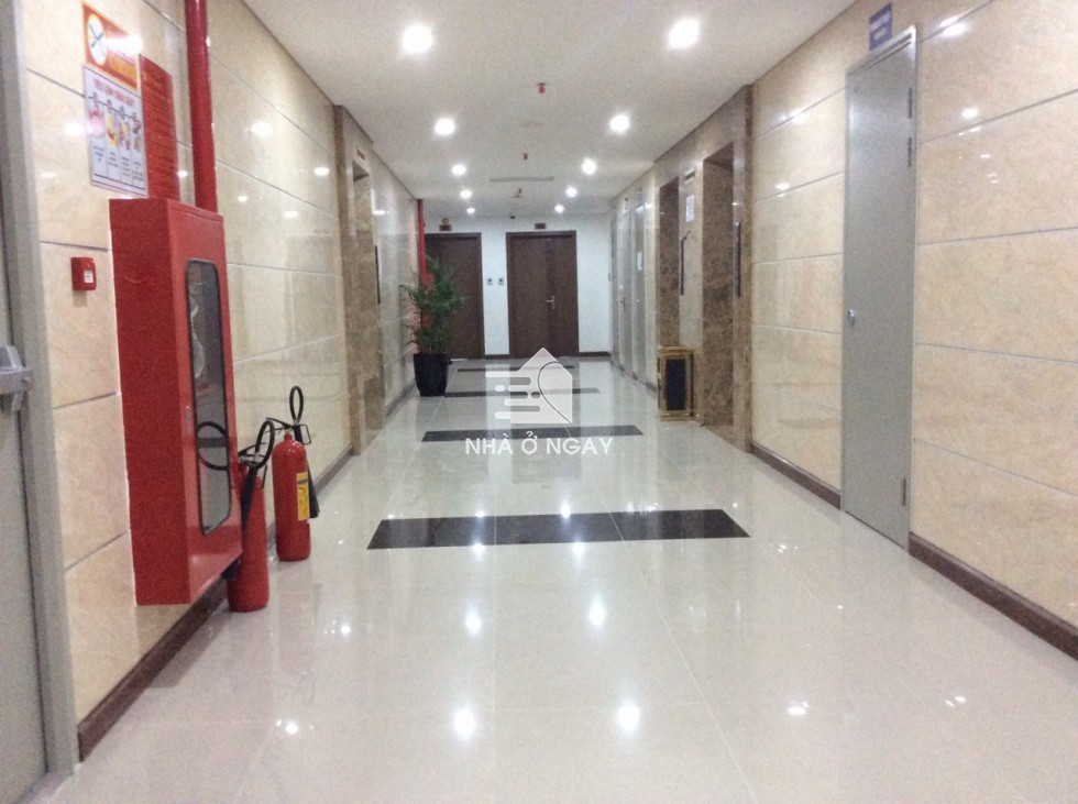 sanh-hacc1-times-tower.jpg