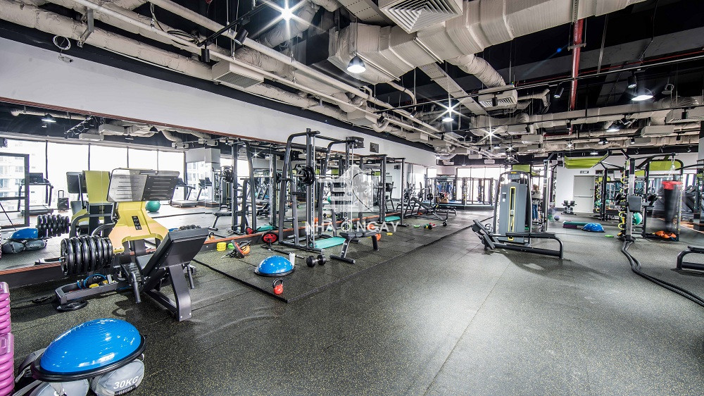 phong-tap-gym-tnr-sky-park-1.jpg