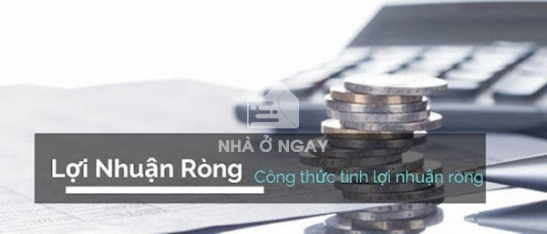 loi-nhuan-rong-la-gi