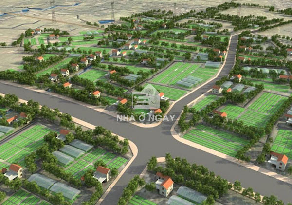 dat-quy-hoach-la-gi-1