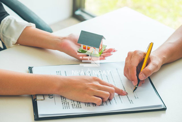 hop-dong-dat-coc-dat