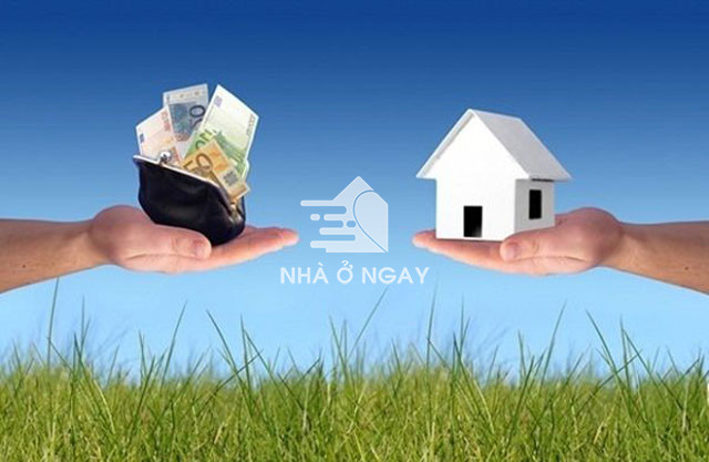 quy-trinh-chuyen-doi-muc-dich-su-dung-dat