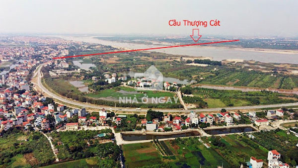 vi-tri-cau-thuong-cat-o-dau
