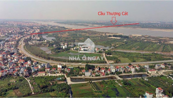 vi-tri-cau-thuong-cat-o-dau