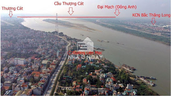vi-tri-cau-thuong-cat-o-dau