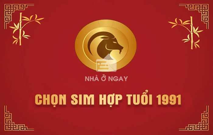 chọn sim hợp tuổi 1991