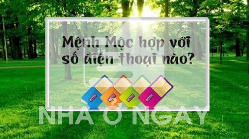 sim phong thủy hợp mệnh mộc chiêu phú quý