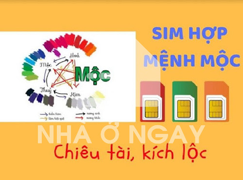 sim phong thủy hợp mệnh mộc chiêu tài lộc