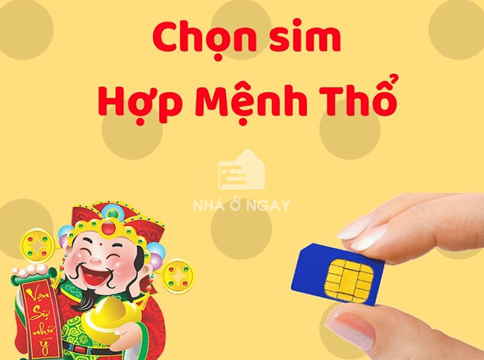 sim phong thủy hợp mệnh thổ đẹp