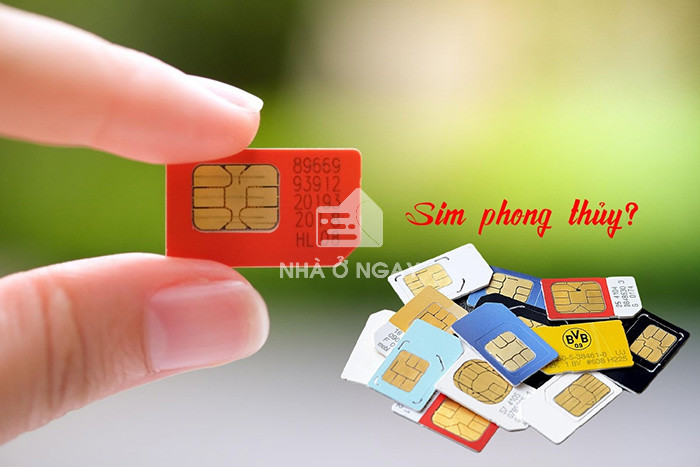 sim phong thủy mệnh thủy hút tài lộc