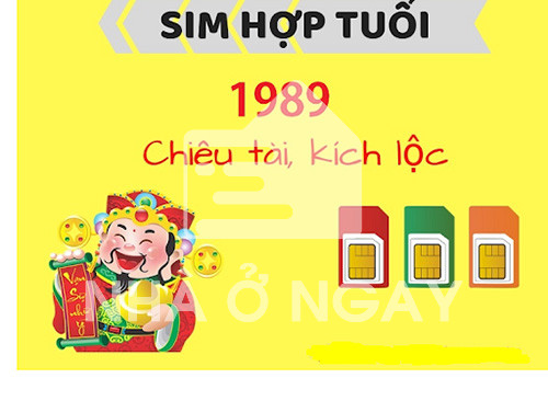 tìm hiểu sim phong thủy hợp mệnh mộc hợp tuổi