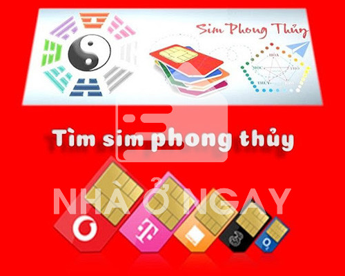 tìm hiểu sim phong thủy hợp mệnh mộc