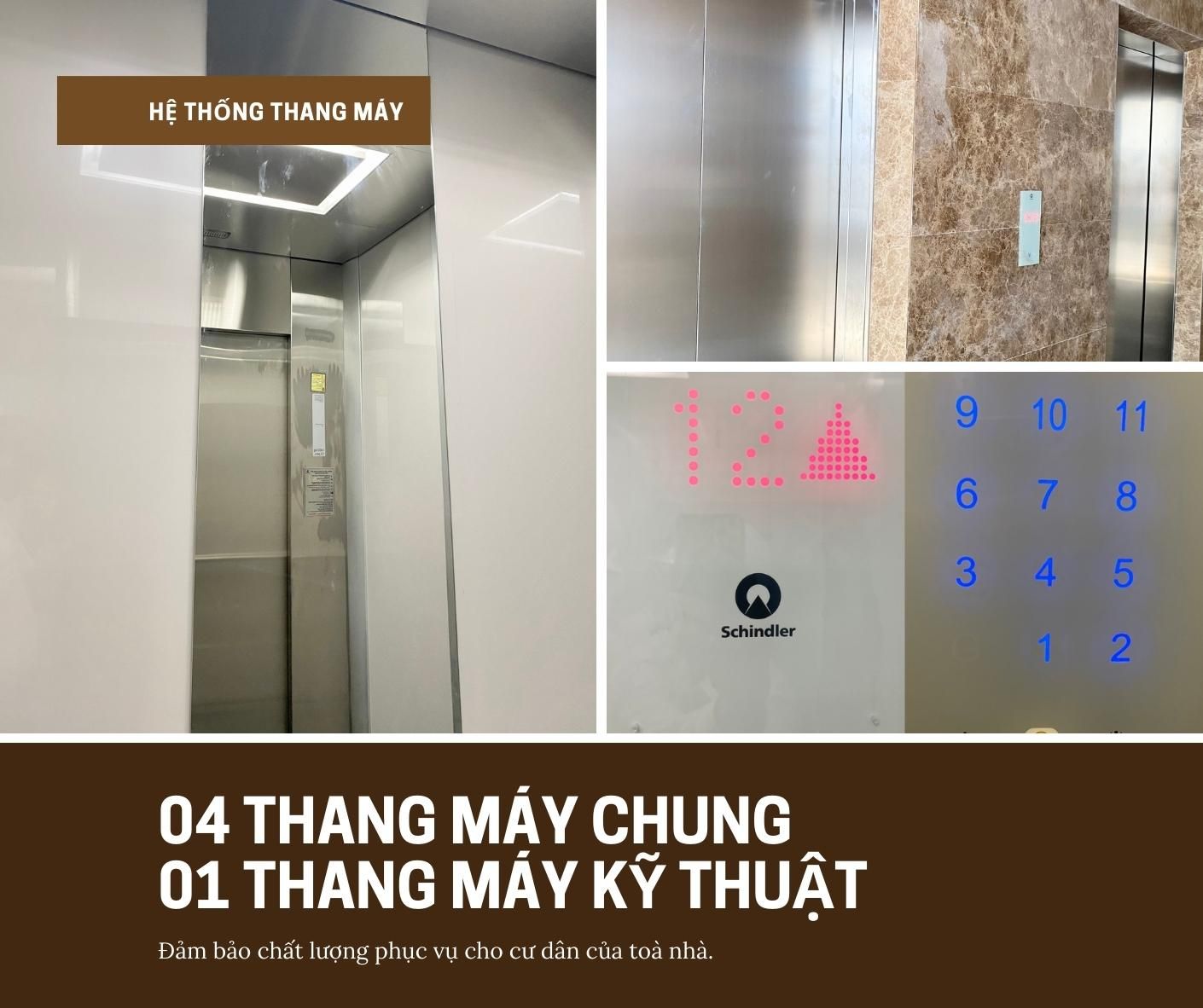 du-an-the-first-minh-linh-compound-5.jpg