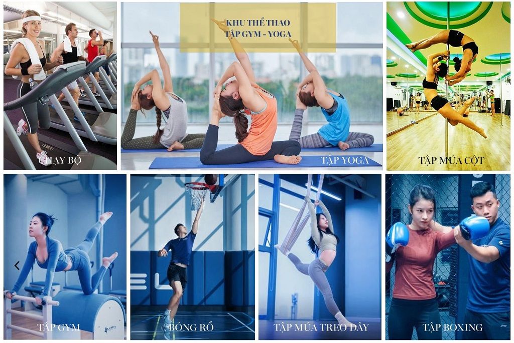 vihacomplex-via-leciva-phong-gym.jpg