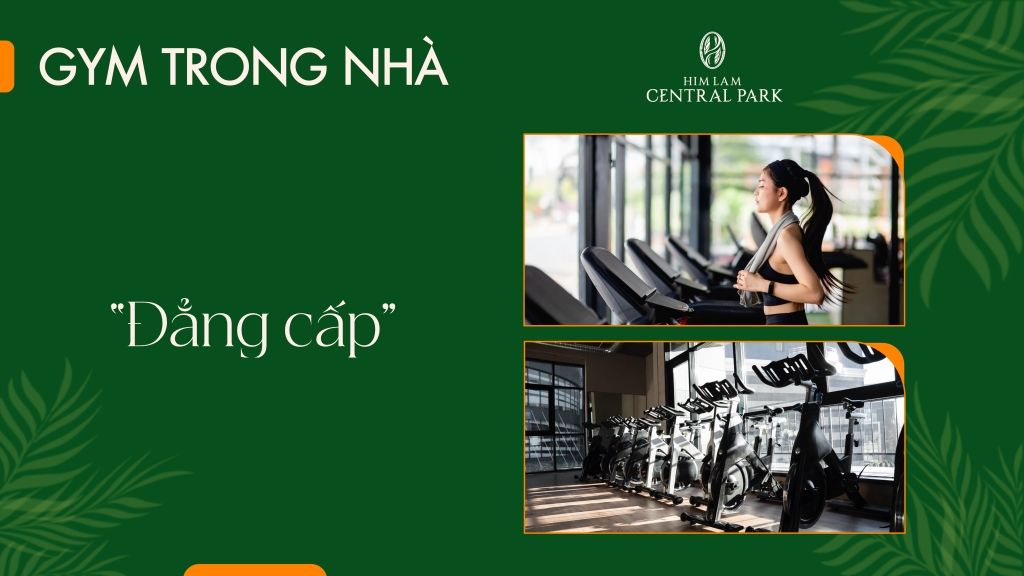 phong-tap-gym-himlam-central-park.jpg