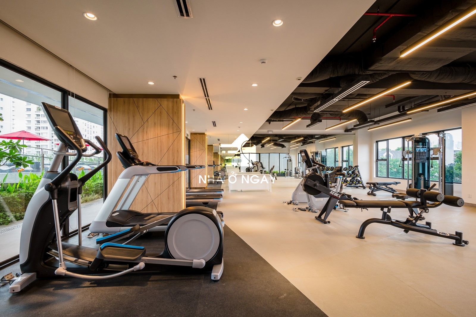 1750669979284-vinhomes-golden-city-tien-ich-phong-gym.jpg