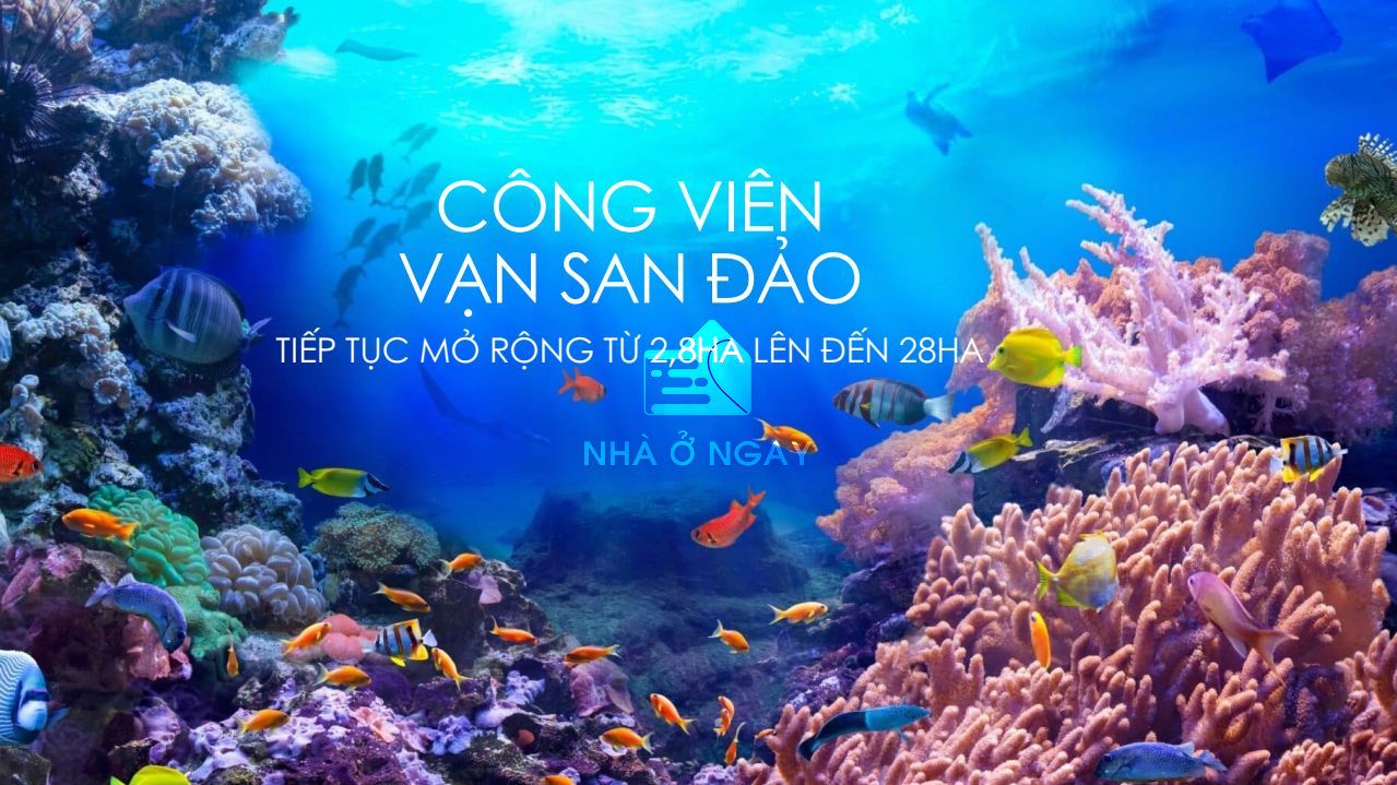 1755835529306-la-tien-villa-cong-vien-san-ho.jpg
